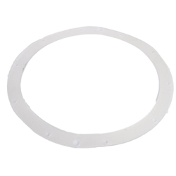 25549-000-011 | Vinyl Pool Light Sealing Ring