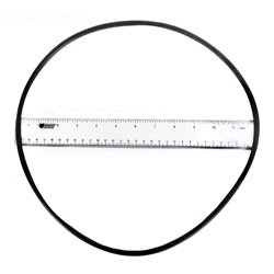 CXFHR1001 RGX45G | O-Ring