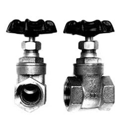 1In Fpt Brass Gate Valve