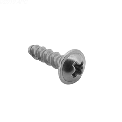 P12106 | Screw