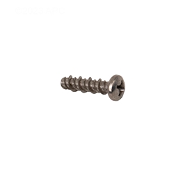 P12107 | Screw