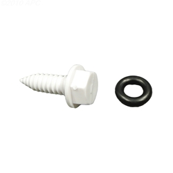 6-507-00 | Drain Plug Assembly