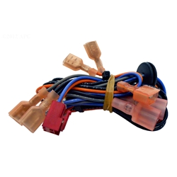 R0457900 | Safety Circuit Wire Harness