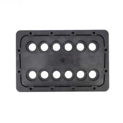 R0590005 | Manifold Backplate