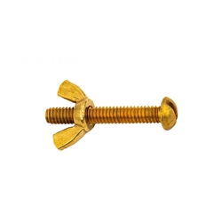 R221156 | Brass Bolt And Wing Nut