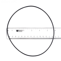Pump Body O Ring