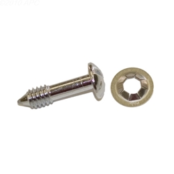 SPX0503Z20A | Face Rim Lockscrew with Washer