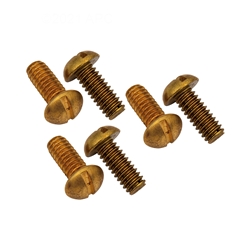 SPX0503Z76 | Set 6 Securing Screws