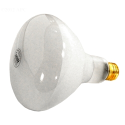 Bulb 120V/500W