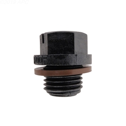 SPX1700FGV | Drain Plug with Gasket
