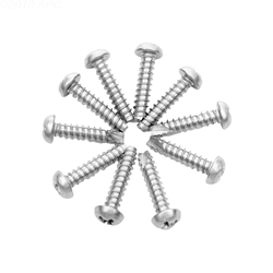 Cover Screw Inbin  10 Pack